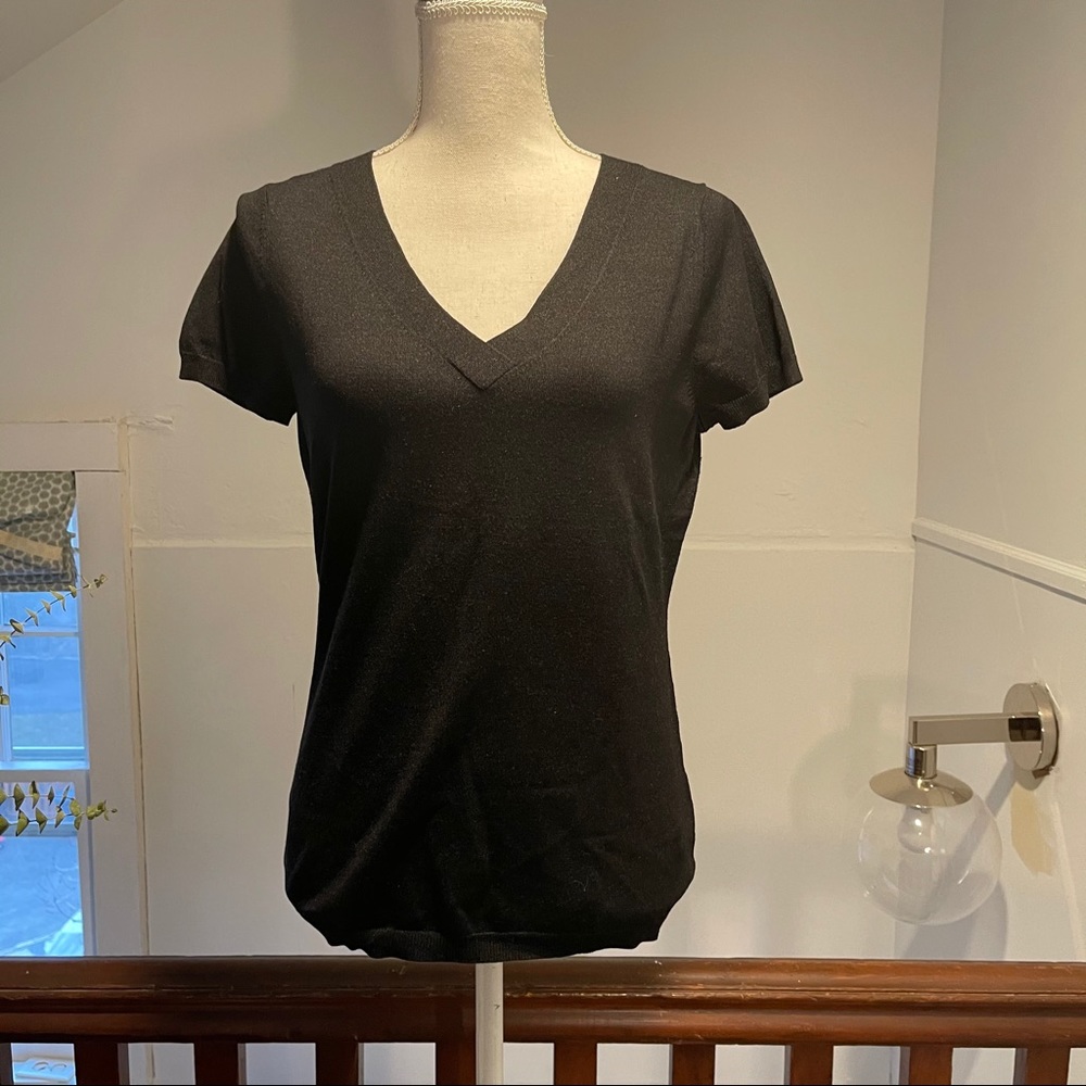 Banana Republic “V” Neck Sweater